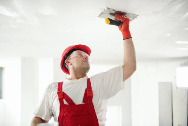 Best Asbestos and Lead Testing During Mold Inspection  in Corning, AR